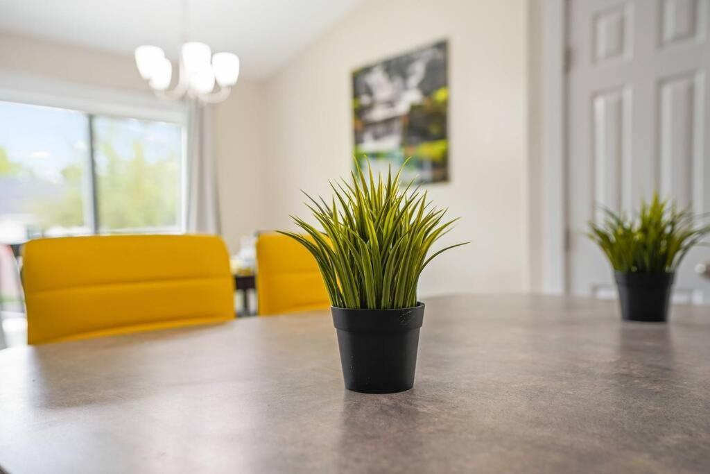 Remodeled, Charming Retreat On The City'S Doorstep บอยซี ภายนอก รูปภาพ